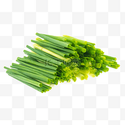 绿色食材小葱