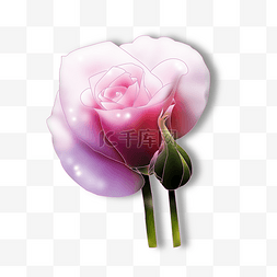 高贵的花图片_梦幻的粉红色花朵