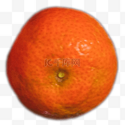 橘子果子图片_橘子黄色橘子果子