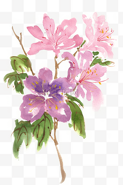 意境花朵图片_水彩花卉粉色的花朵