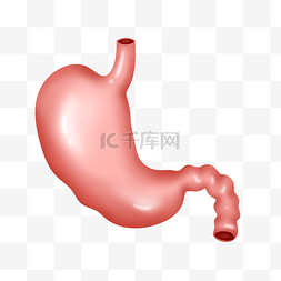 肺部卡通图片_器官肺部卡通插画