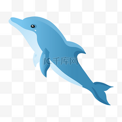 养殖蓝色海豚