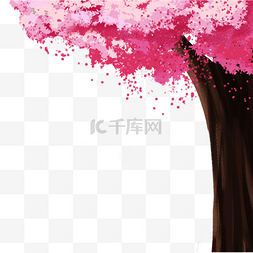 粉色的大树图片_红色的樱花树和花朵