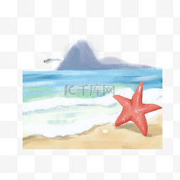 沙滩海水海星