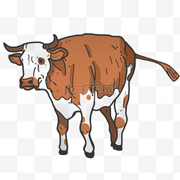 棕色家养肉牛
