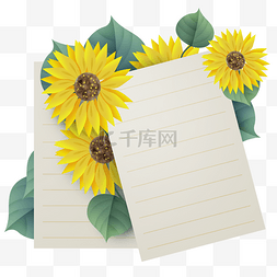 文字花卉图片_向日葵文本框