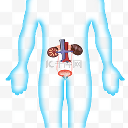 吸管杯子实体图片_人体器官吸管