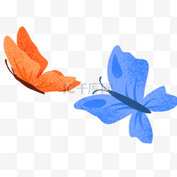 彩色的两只蝴蝶昆虫
