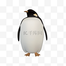 动物南极图片_立体胖企鹅