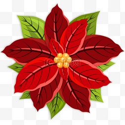 圣诞装饰花图片_一品红手绘植物红色花朵