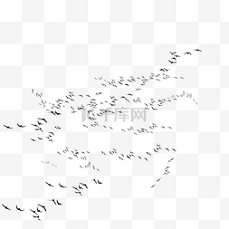 成群结队的小学生图片_成群结伴的乌鸦在空中飞翔
