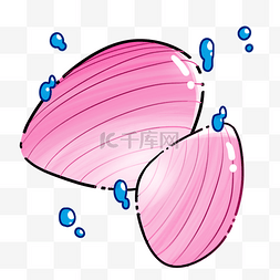 水生物贝壳扇贝