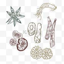 香料和佐料图片_各种香料和植物草药的线稿中药