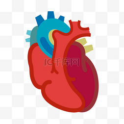 人体器官心脏插画