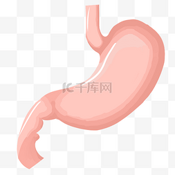 人体的胃图片_粉色的胃装饰插画