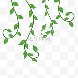 树叶树枝卡通图片_卡通绿色植物藤条