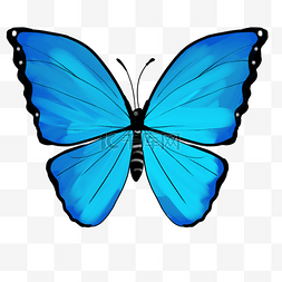 漂亮的翅膀图片图片_卡通蓝色蝴蝶插画