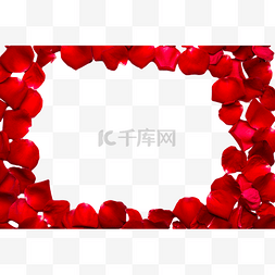 红玫瑰花瓣组成的圆