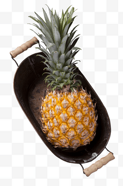 亚热带水果图片_水果菠萝营养酸甜