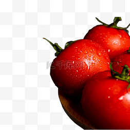 果蔬背景素材图片_果蔬室内番茄
