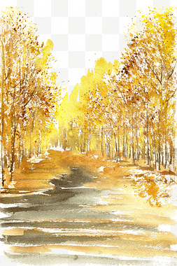 秋天的树林图片_秋天的道路