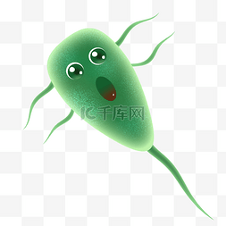 绿色的细菌 