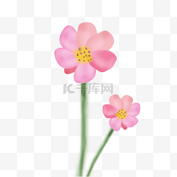 手绘粉色花卉春天水彩