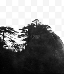 云海山峰和松树