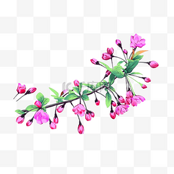 春季紫丁香