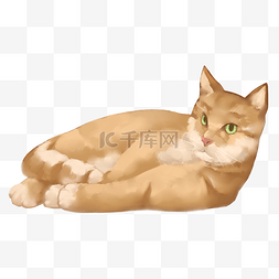 宠物扶梯图片_侧卧的猫咪的插画