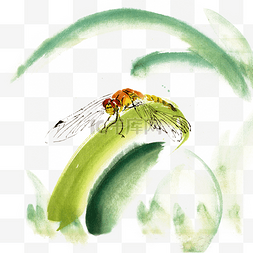彩墨画绿叶与蜻蜓
