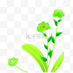 绿色花卉植物图片_绿色花卉植物