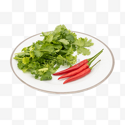 香菜图片_绿色蔬菜香菜