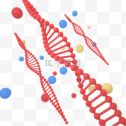 dna长链图片_C4D红色DNA遗传螺旋元素