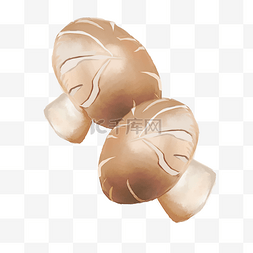 水彩风手绘香菇