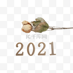2021金属数字图片_干净的干花