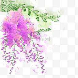 水彩紫色花藤