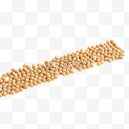 一堆黄豆营养食物