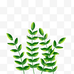 小清新植物叶片图片_绿色植物叶子