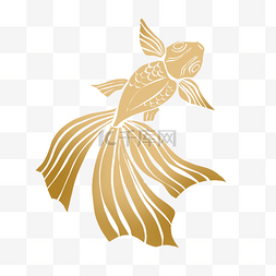 金色金鱼小鱼