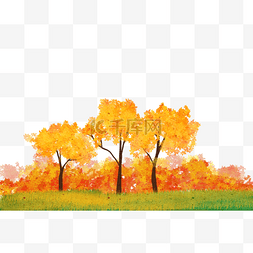 秋季秋天植物树林