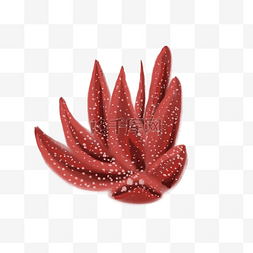 一颗红色叶子的植物免抠插图