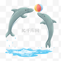 两只海豚表演抢球