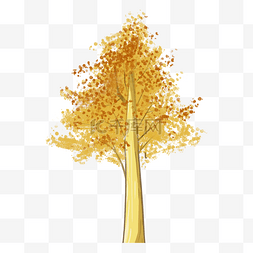 秋天的金黄图片_秋天的树
