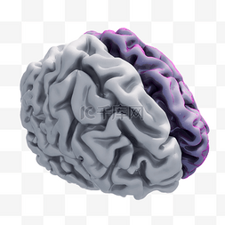 立体大脑png图