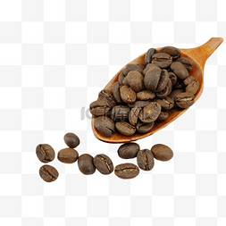 南非素材图片_南非咖啡豆