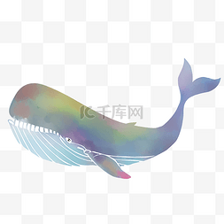 水彩插画夏日海洋动物炫彩星空色
