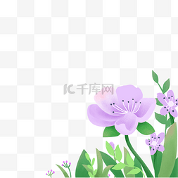 紫色的鲜花免抠图