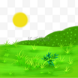 草地绿色小草春天