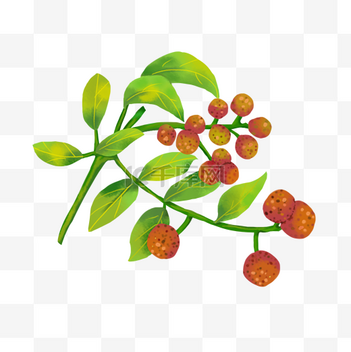 花椒设计素材-花椒模板设计-海报PSD图片下载-千库网